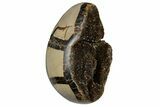 Septarian Dragon Egg Geode - Black Crystals #177386-2